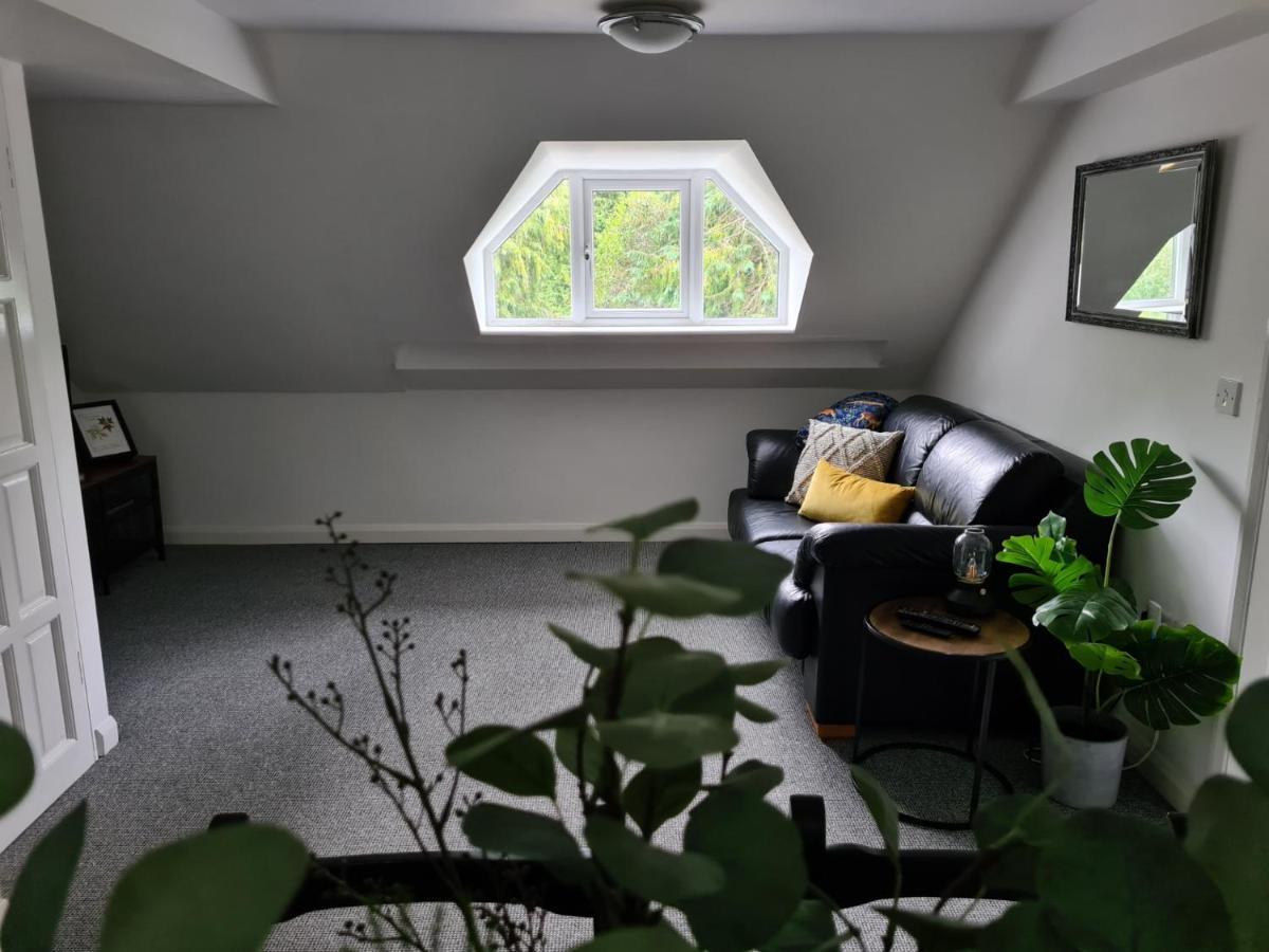 Park House Self-Contained Annex Hotell Mold Eksteriør bilde